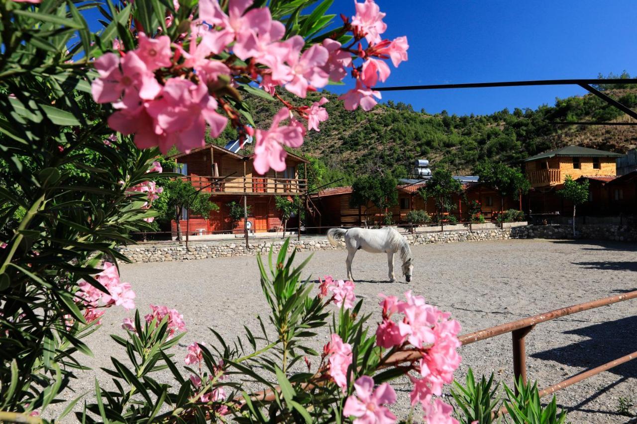 Oranj Ranch Hotel Kemer Ngoại thất bức ảnh