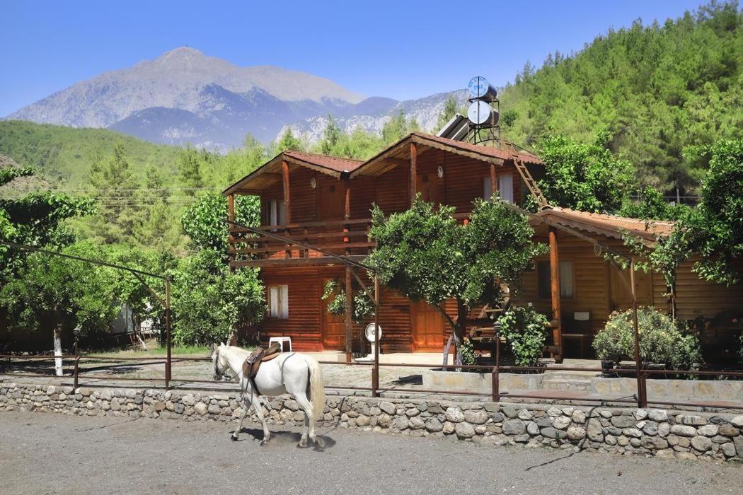 Oranj Ranch Hotel Kemer Ngoại thất bức ảnh