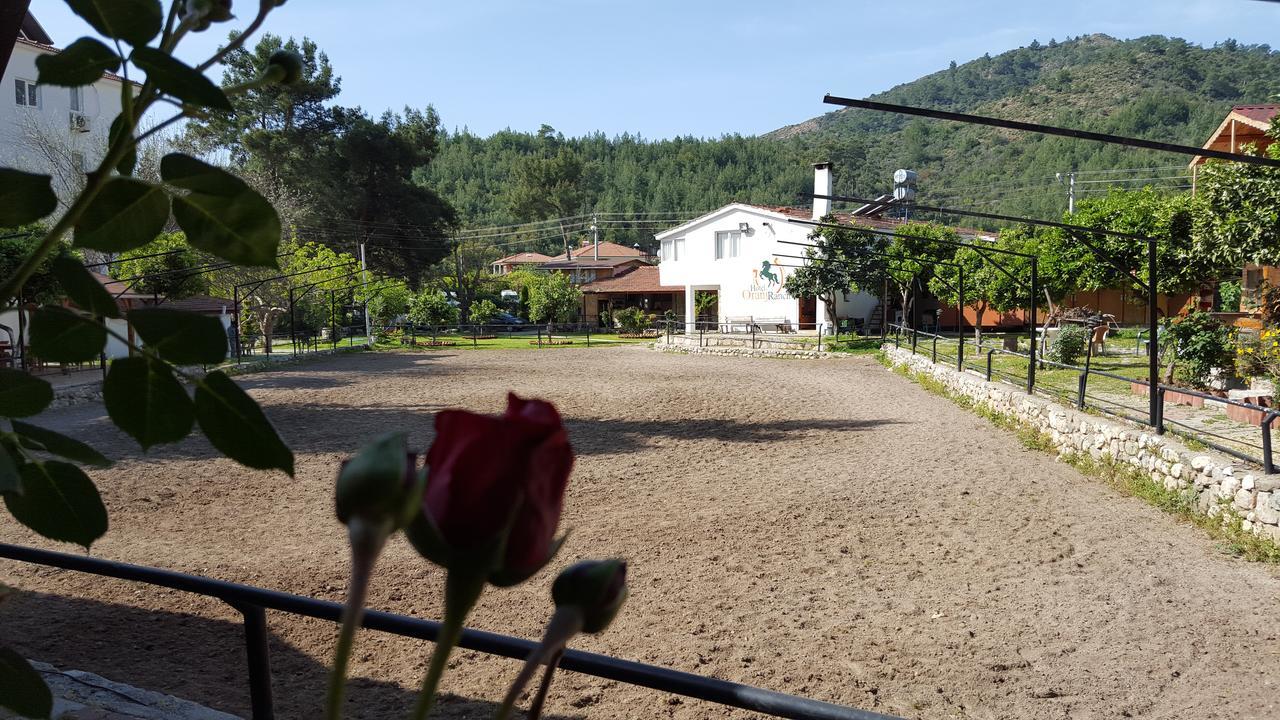 Oranj Ranch Hotel Kemer Ngoại thất bức ảnh