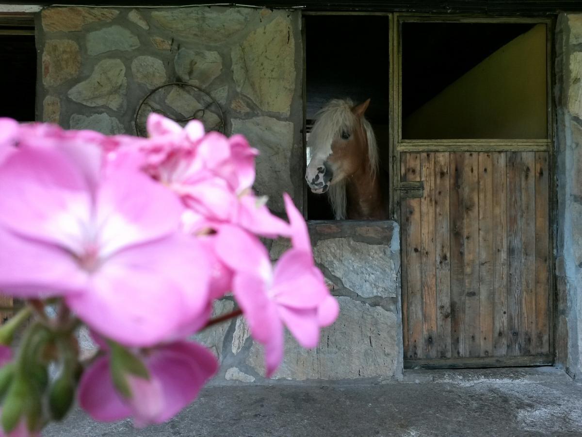 Oranj Ranch Hotel Kemer Ngoại thất bức ảnh